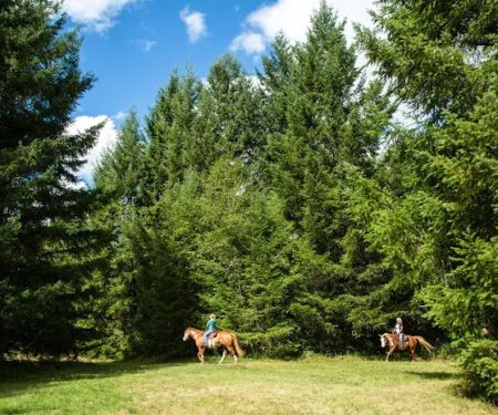 Thousand Trails Chehalis