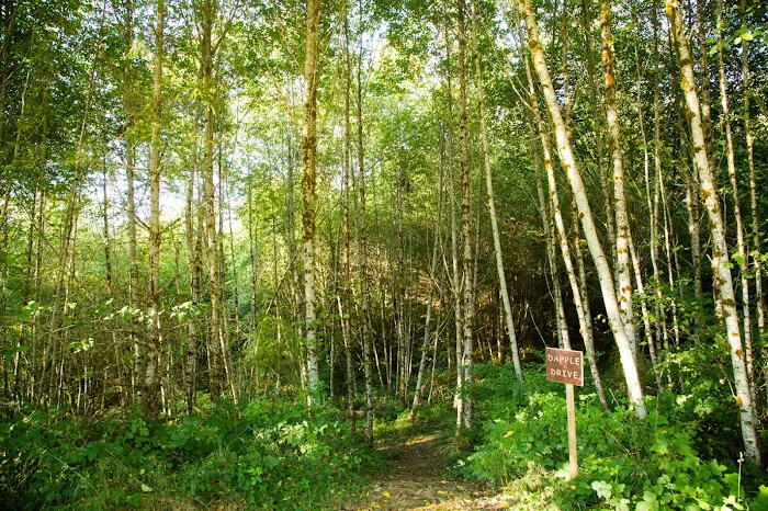 Thousand Trails Chehalis Picture 9