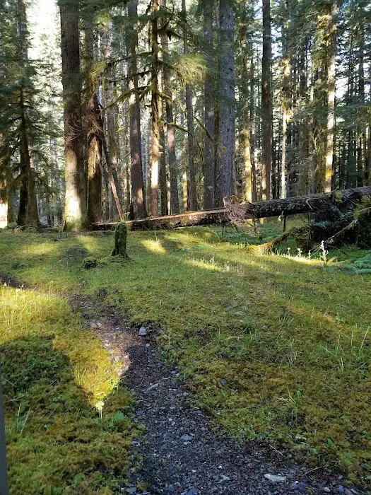 Hayes River Picture 2