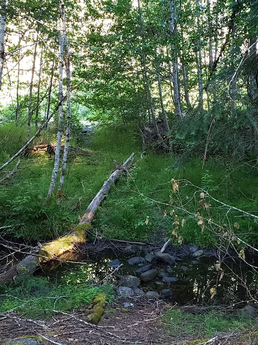Wilder Picture 3