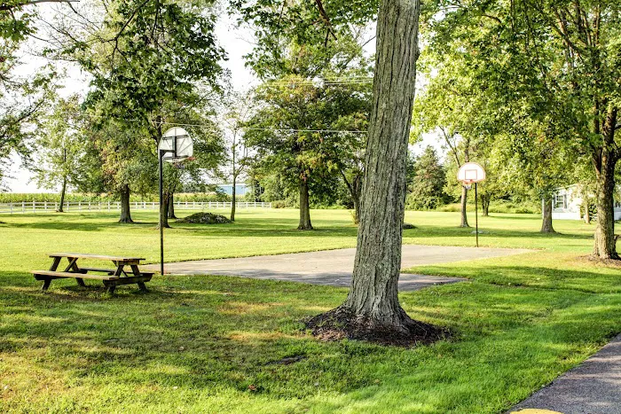 Dodger Point Picture 5