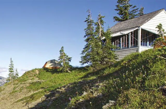 Dodger Point Picture 10