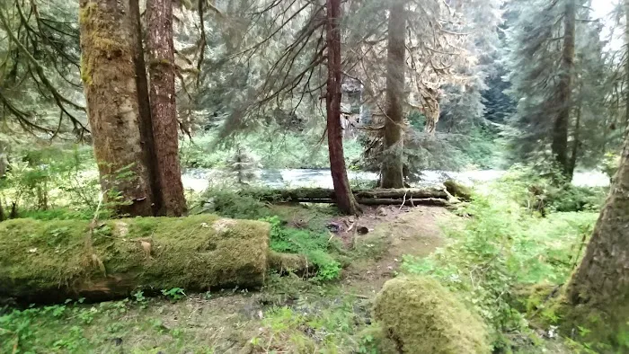 Success Creek Picture 1