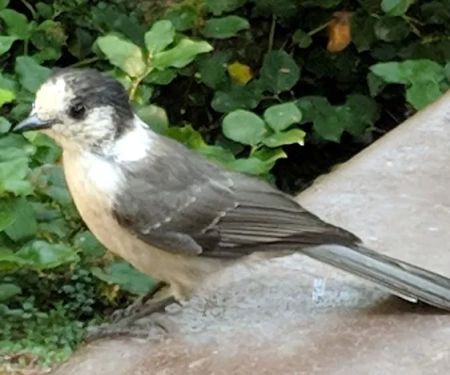 Heart O' the Hills Campground