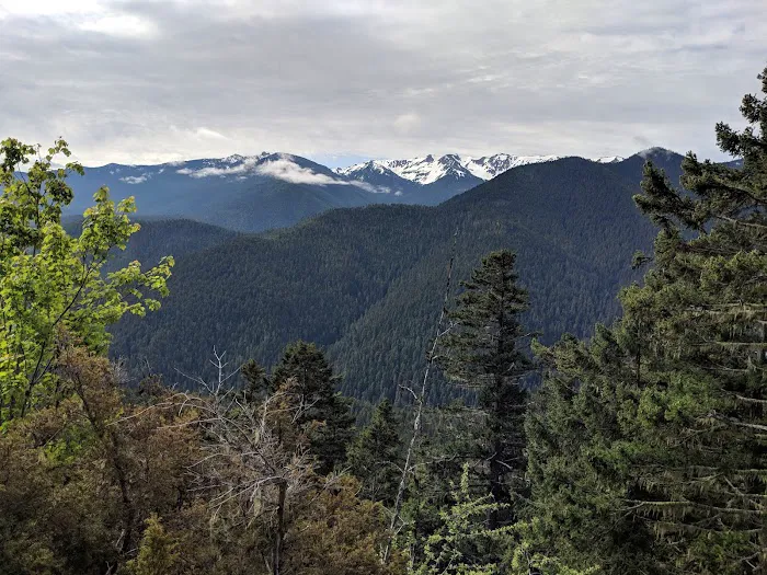 Heart O' the Hills Campground Picture 5