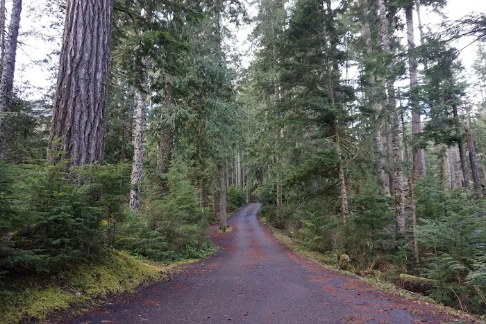 Heart O' the Hills Campground Picture 9