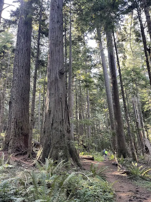 Heart O' the Hills Campground Picture 8