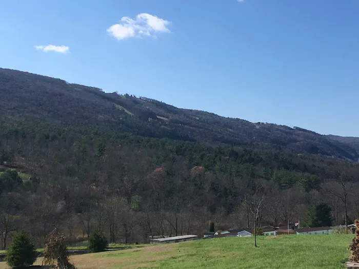 Blue Mountain View Estates Picture 2