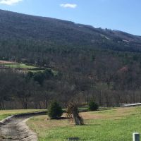 Blue Mountain View Estates ico