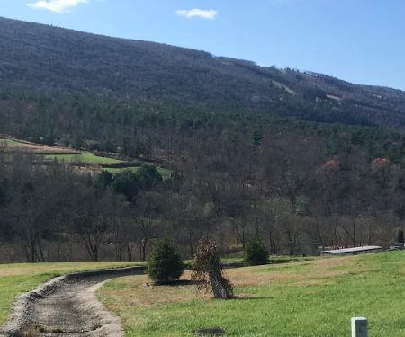 Blue Mountain View Estates