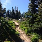 Lake Angeles Campground