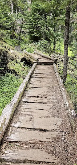 Lake Angeles Campground Picture 2