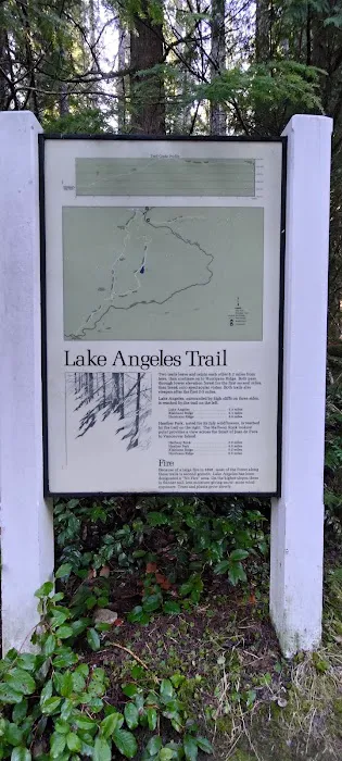 Lake Angeles Campground Picture 9