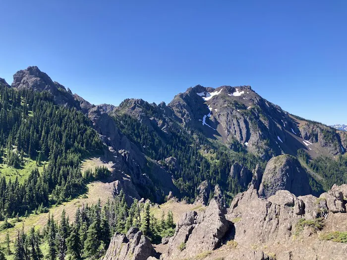 Heather Park Picture 3