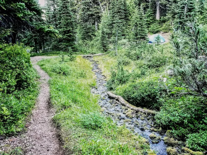 Heather Park Picture 2