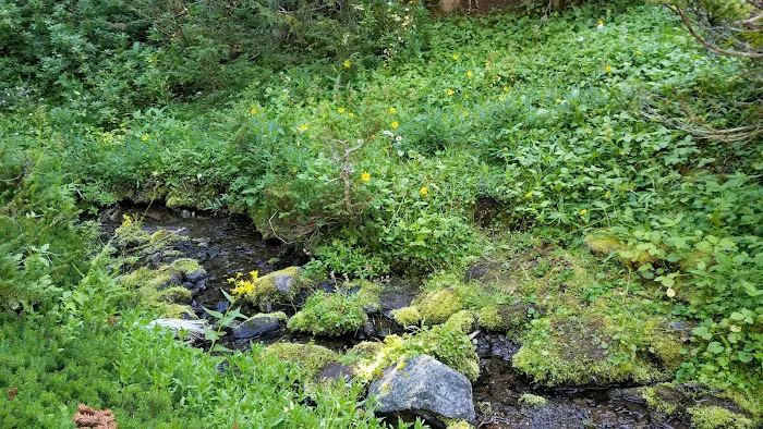 Heather Park Picture 9