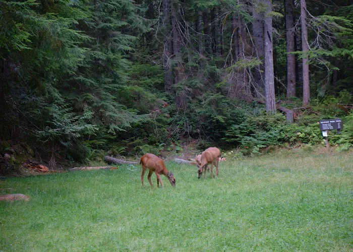 Heather Park Picture 8