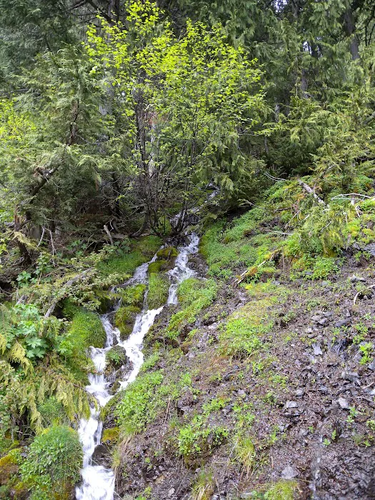 Heather Park Picture 6