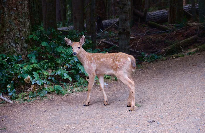 Heather Park Picture 5