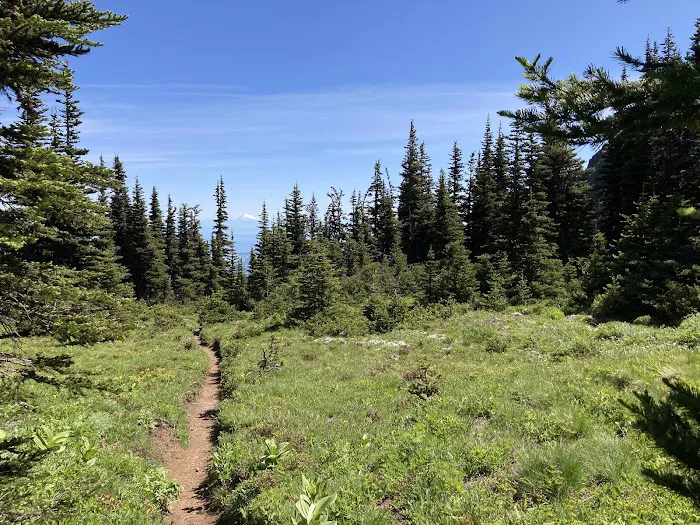 Heather Park Picture 4