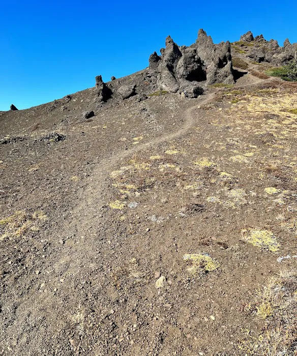 Heather Park Picture 10