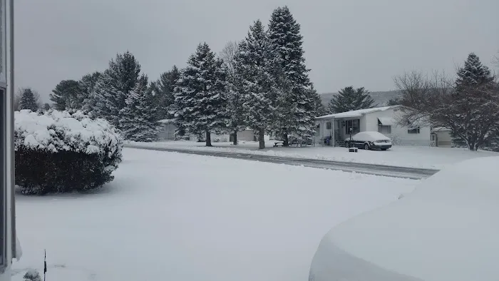 Mountain View - PA Picture 5