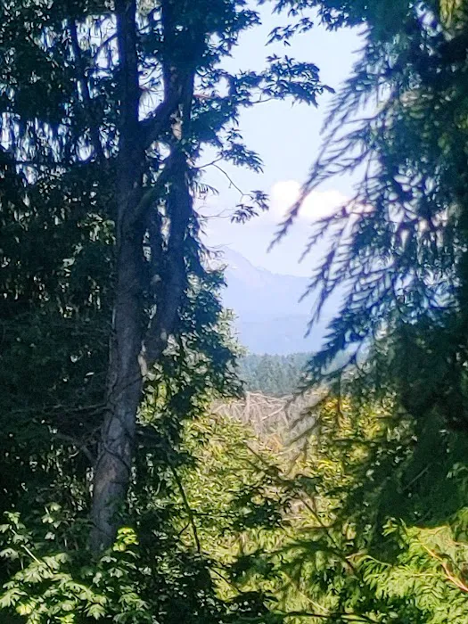 Port Susan Camping Club Back Gate Ranger Station Picture 6