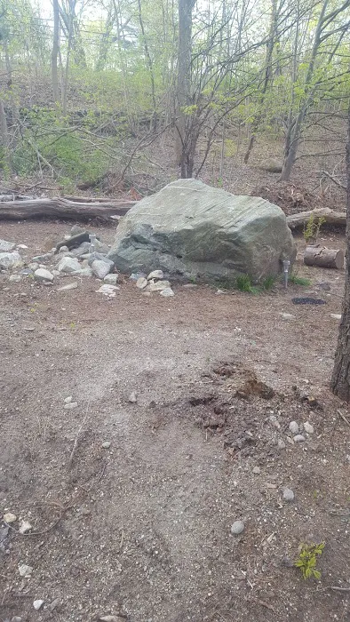 R&R Mobile Home Park Picture 3