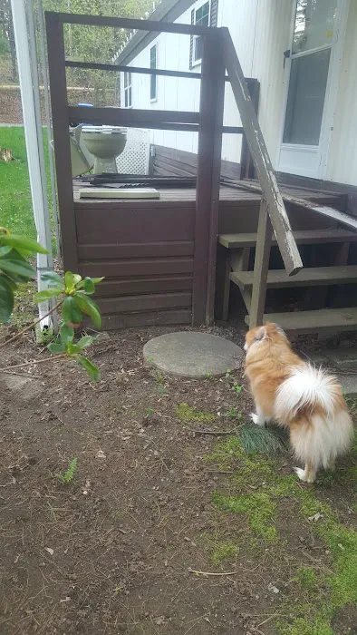 R&R Mobile Home Park Picture 2