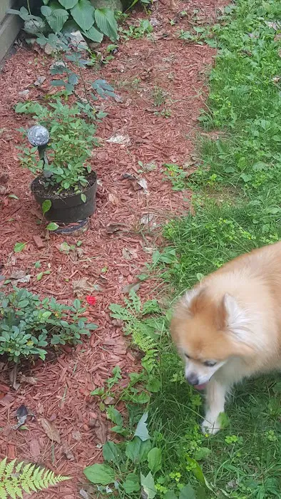 R&R Mobile Home Park Picture 5