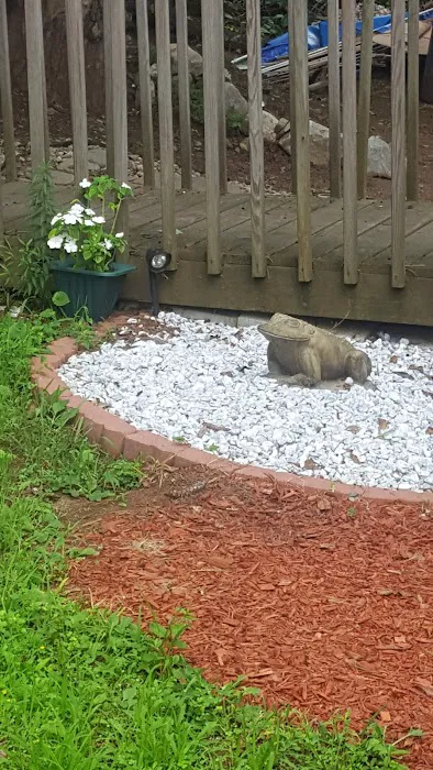 R&R Mobile Home Park Picture 6