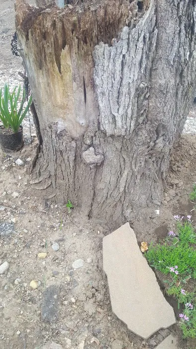 R&R Mobile Home Park Picture 7