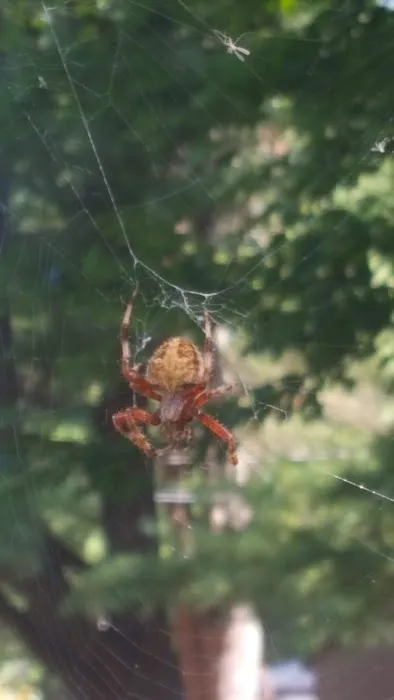 R&R Mobile Home Park Picture 1