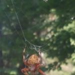 R&R Mobile Home Park