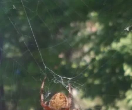 R&R Mobile Home Park