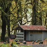 Graves Creek Campground