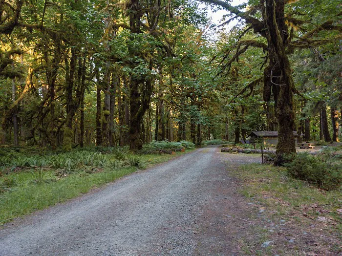 Graves Creek Campground Picture 6