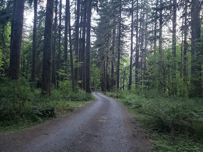 Graves Creek Campground Picture 2