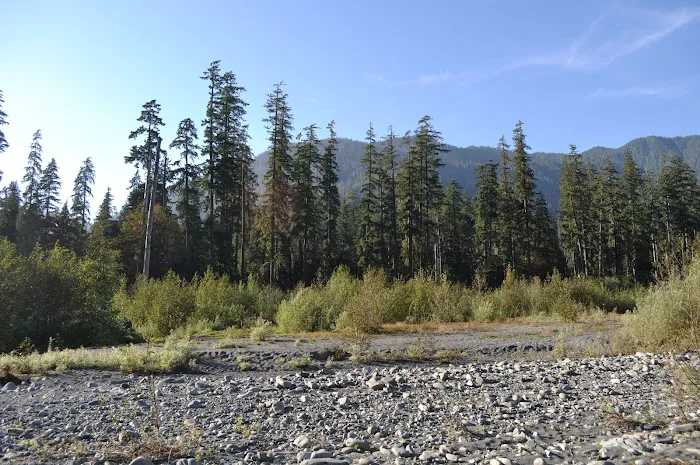 North Fork Campground Picture 1