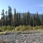 North Fork Campground