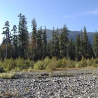 North Fork Campground ico