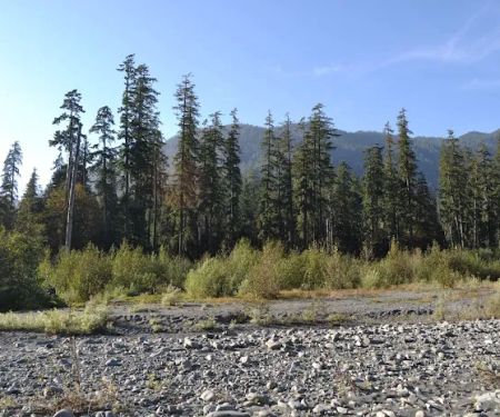 North Fork Campground