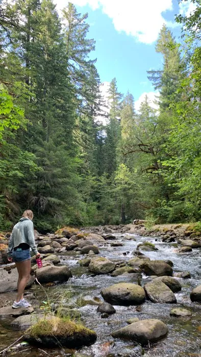 North Fork Campground Picture 3