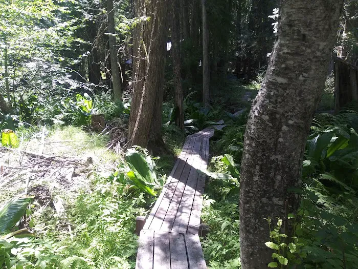 Sawmill Flat Campground Picture 9