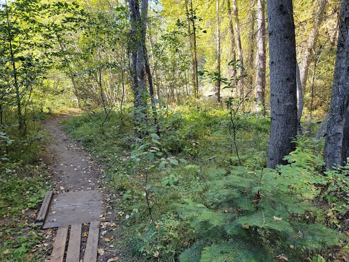 Gibson Hill RV Park Picture 5