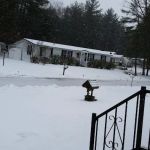 Pine Valley Plantation