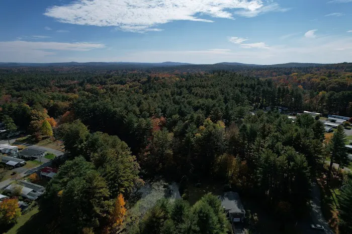 Pine Valley Plantation Picture 3
