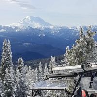 Ponderosa Camp ico