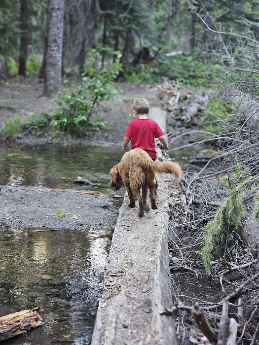 Ponderosa Camp Picture 9