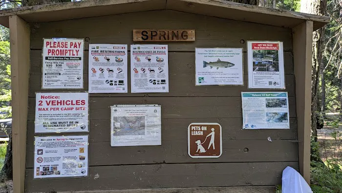 Spring campground Picture 1